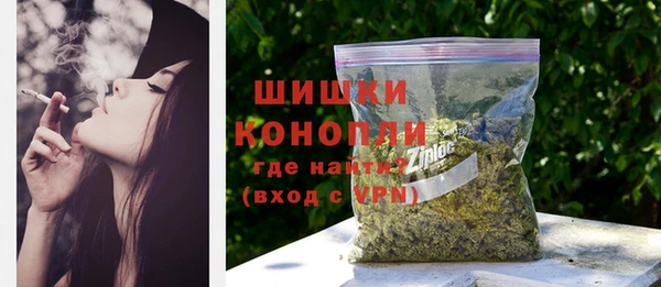дживик Краснослободск