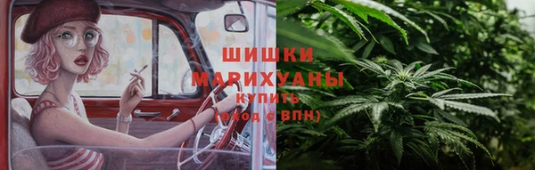 дживик Краснослободск